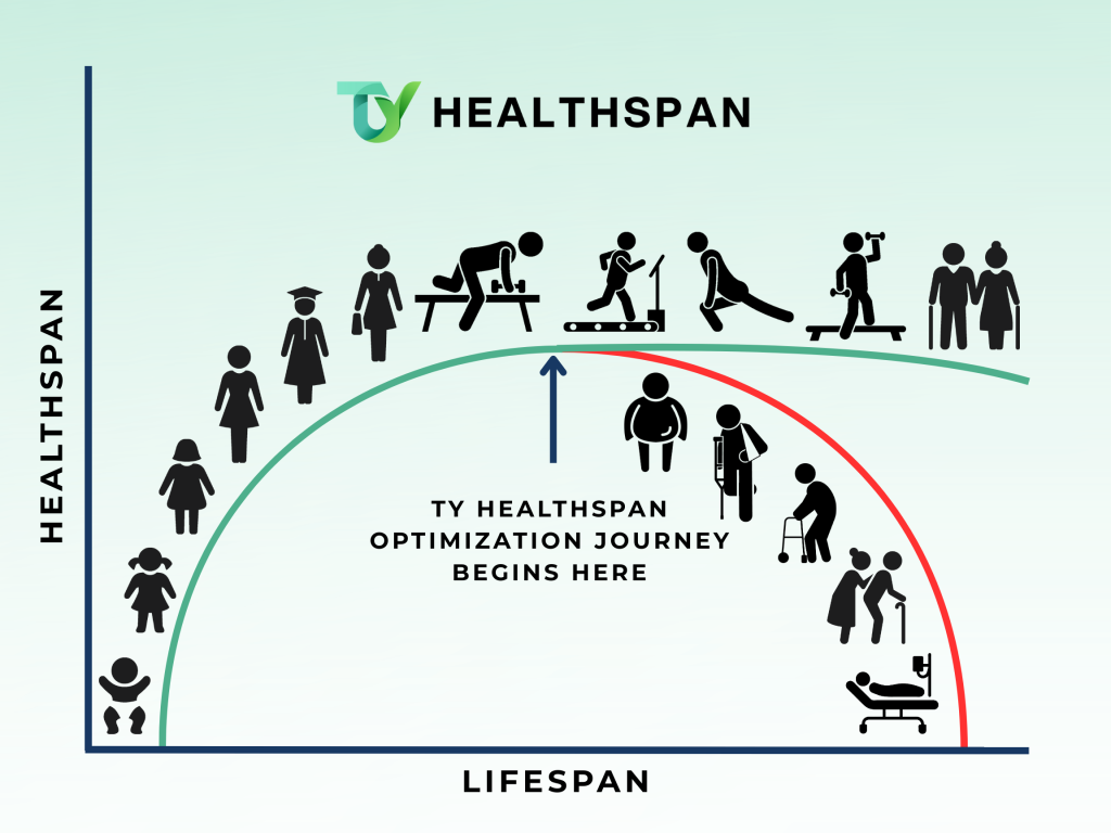 Diagram showing the difference between a lifespan and a healthspan