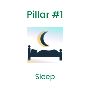 Pillar 1 - Sleep icon