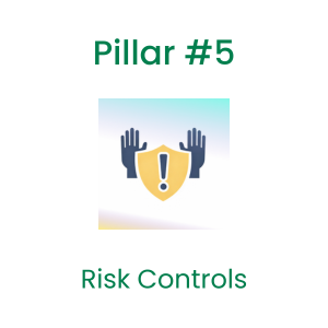 Pillar 5 - Risk Controls icon